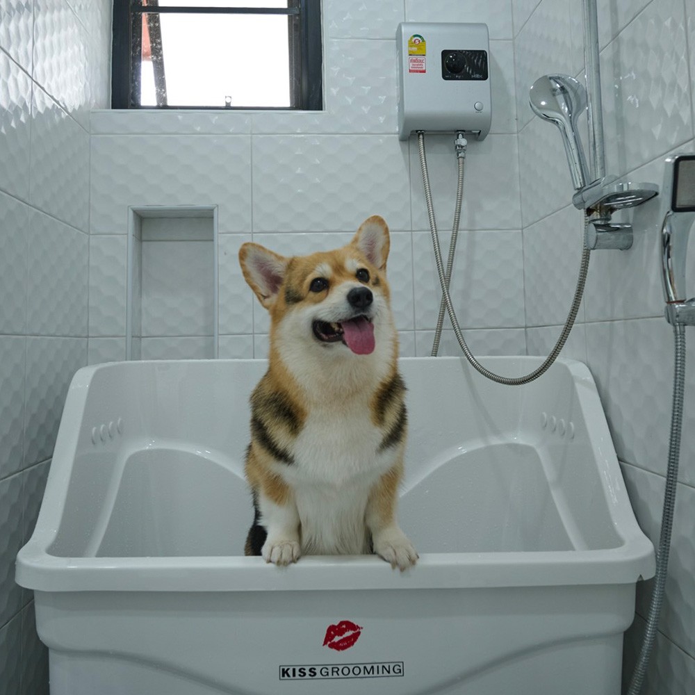 Grooming at Dog Garden