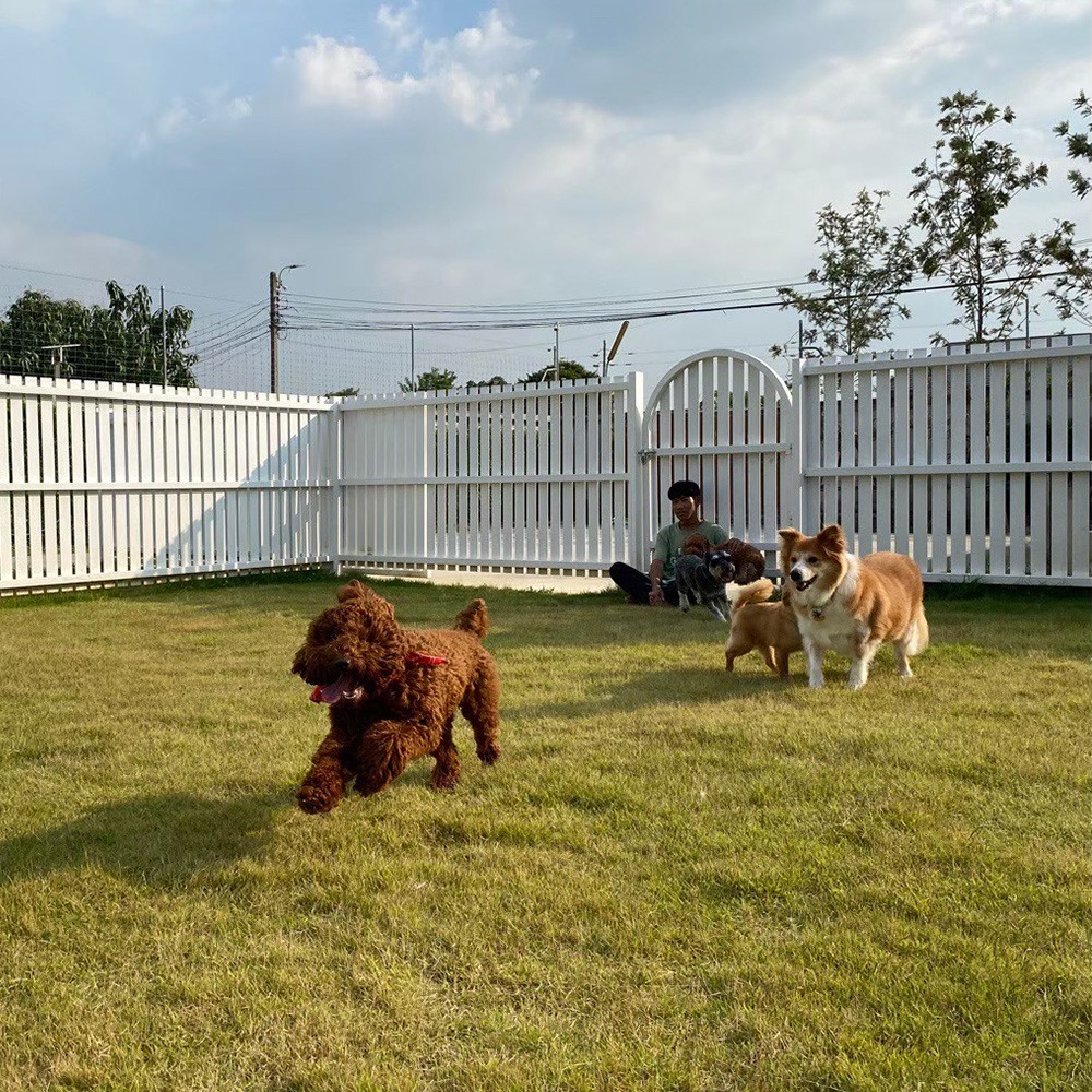 Garden play